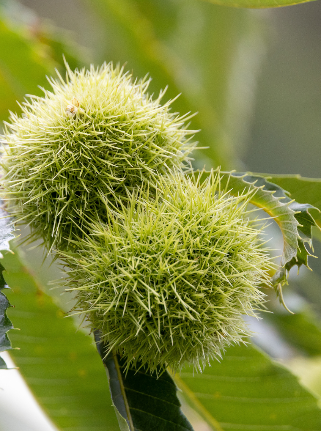 Adsız tasarım (34)